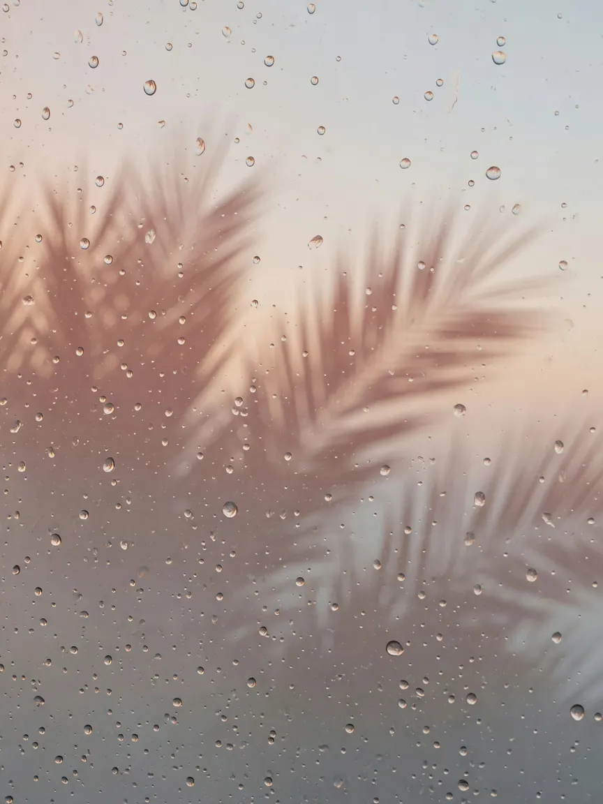 Condensation on glass at dawn — the humid Gulf air Tampa skin lives in year round