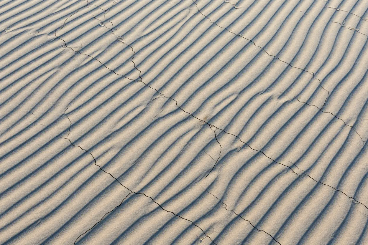 Extreme close-up of fine wind-rippled sand etched with delicate, branching desiccation cracks from evaporating tidal moisture, harsh subtropical light casting micro-shadows across the dry, thirsty surface